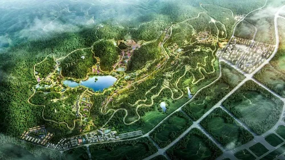 象鼻窩省級森林公園規(guī)劃圖均為資料圖片圖片
